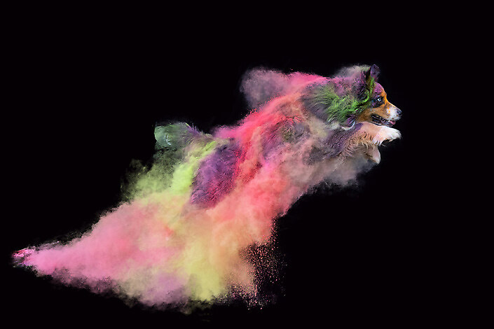 Holi-Pulver-Shooting-by-Fotodesign-Verena-Scholze 1