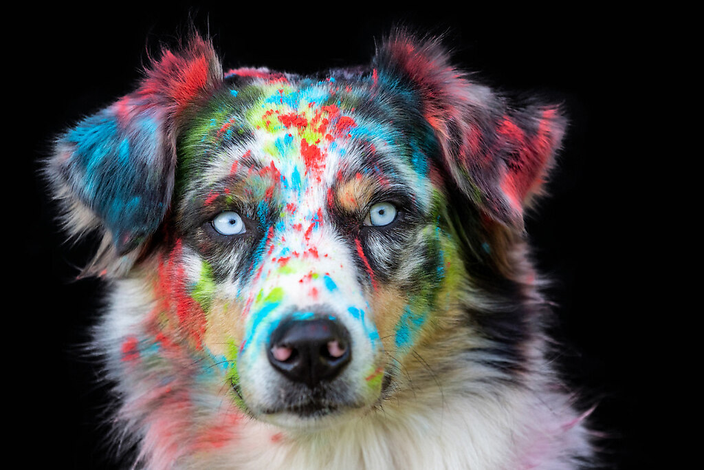 Holi-Pulver-Shooting-by-Fotodesign-Verena-Scholze 4