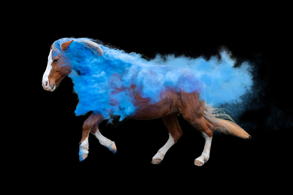 Holi-Pulver-Shooting-by-Fotodesign-Verena-Scholze 2